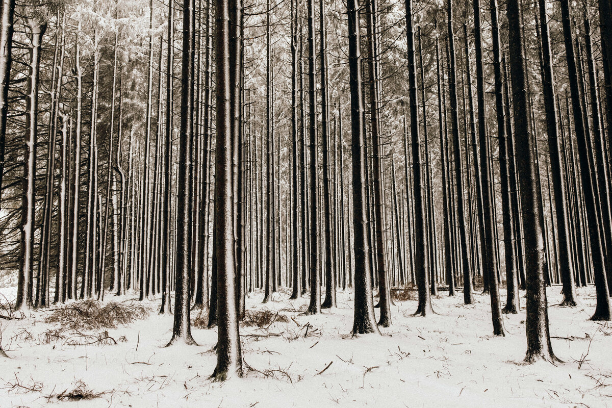 Styled Shoot - Winter Wonderland - Duitsland - 2019 2403