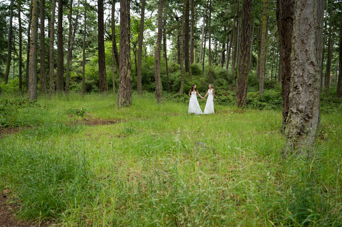 Olympic National Park Washington State Wedding and Elopement Photographer