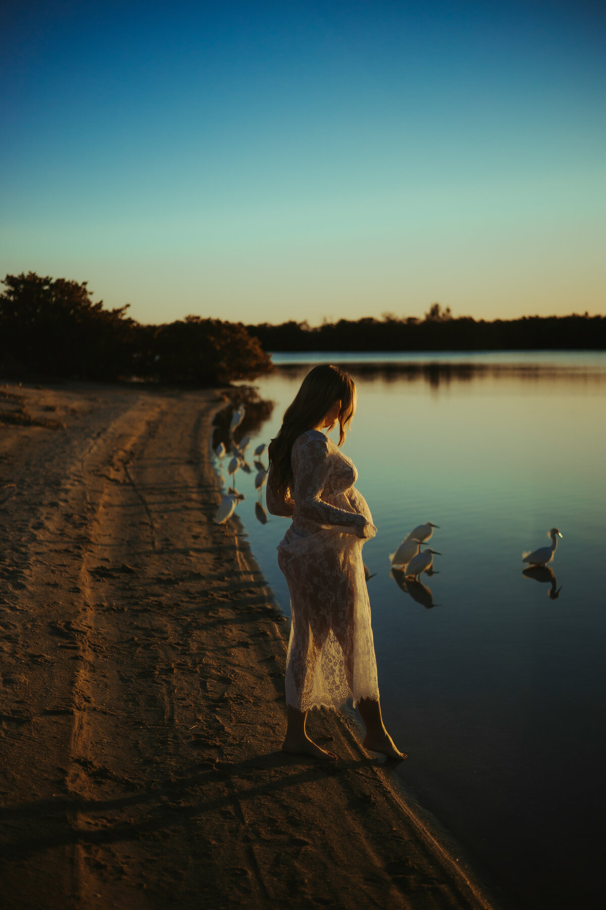 moody portraits of a pregnant women surrounded by birds at a inlet of water wearing a white lace dress