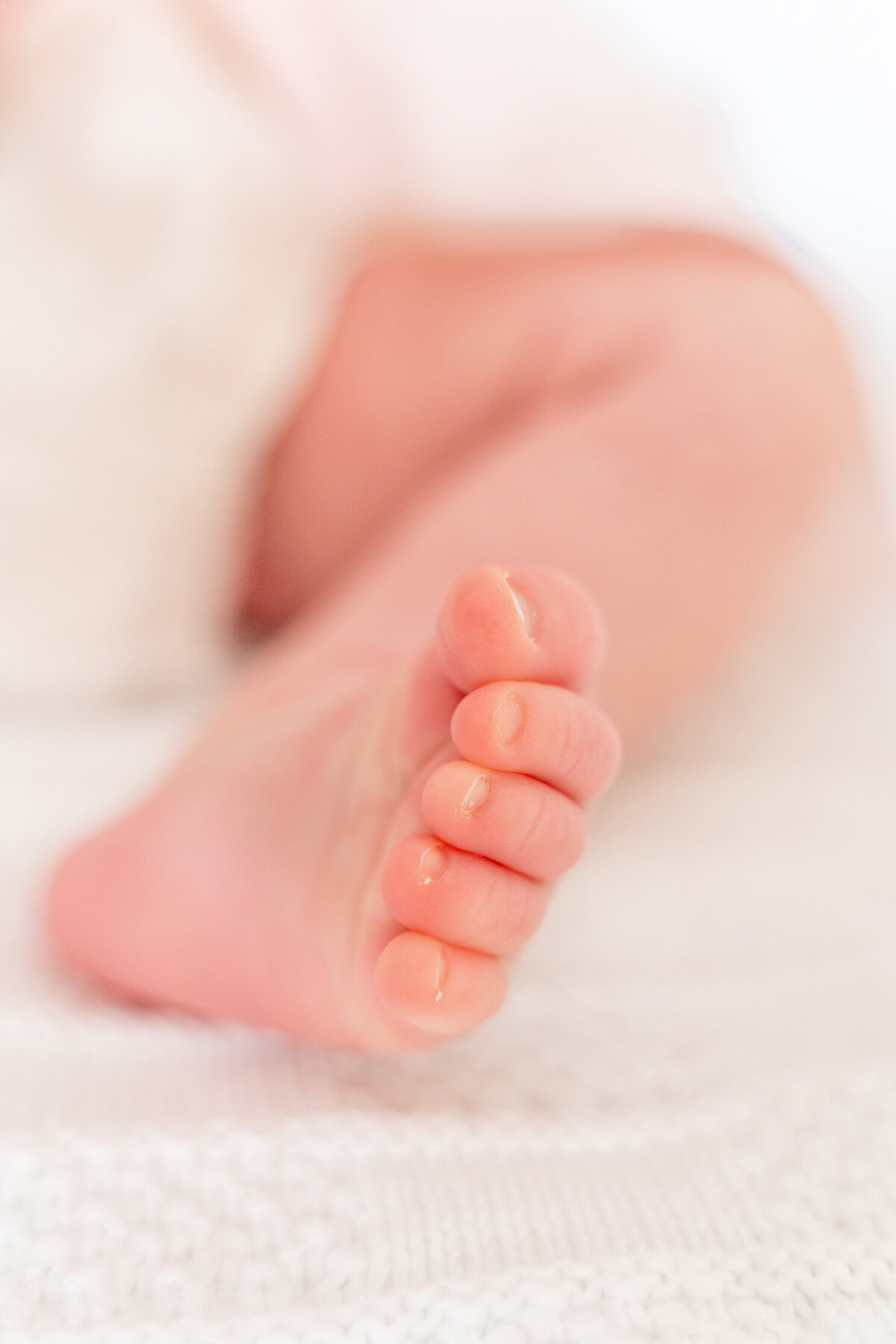 Chattanooga newborn photography _ baby foot