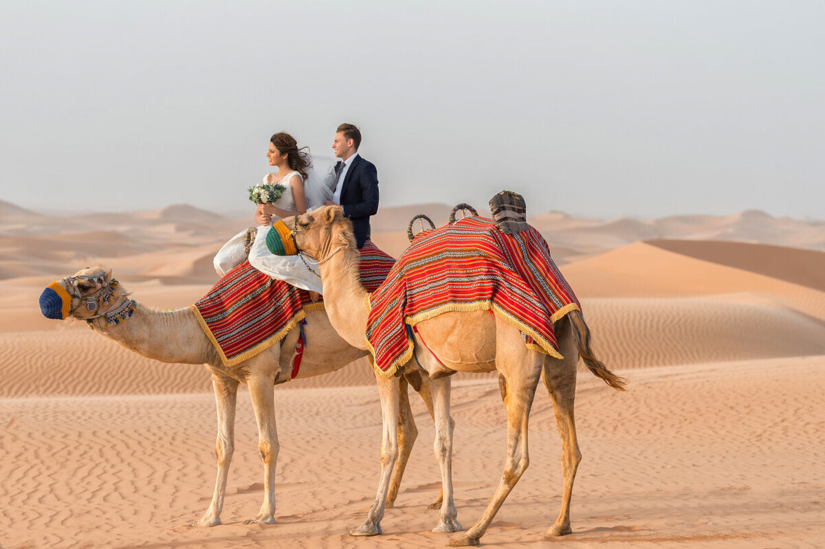 Wedding couple riding a camel during Arabian Night Wedding photoshoot organized by Lovely & Planned