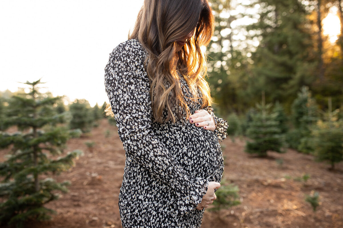 Expectant mother looking down at her belly at sunset in a beautiful tree farm. Photo by maternity photography Portland.