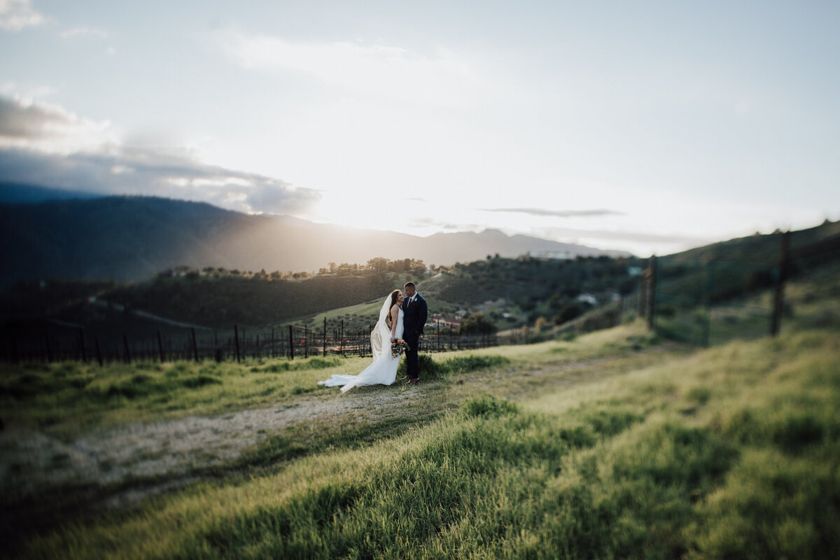 THEDELAURAS_HOLMAN_RANCH_CARMELVALLEY_WEDDING_ERIN_REX_1112-1210 copy copy