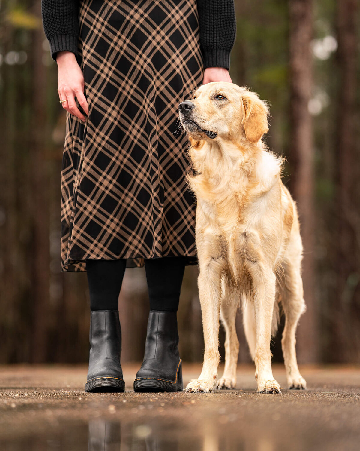 Dog owner in long plaid shirt with black tights and black boots standing next to Golden Retriever dog looking off into the distance. 
