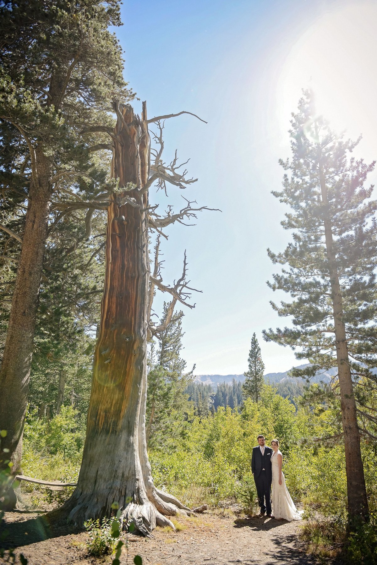 Mammoth Lakes Tamarack Lodge Wedding Photographer