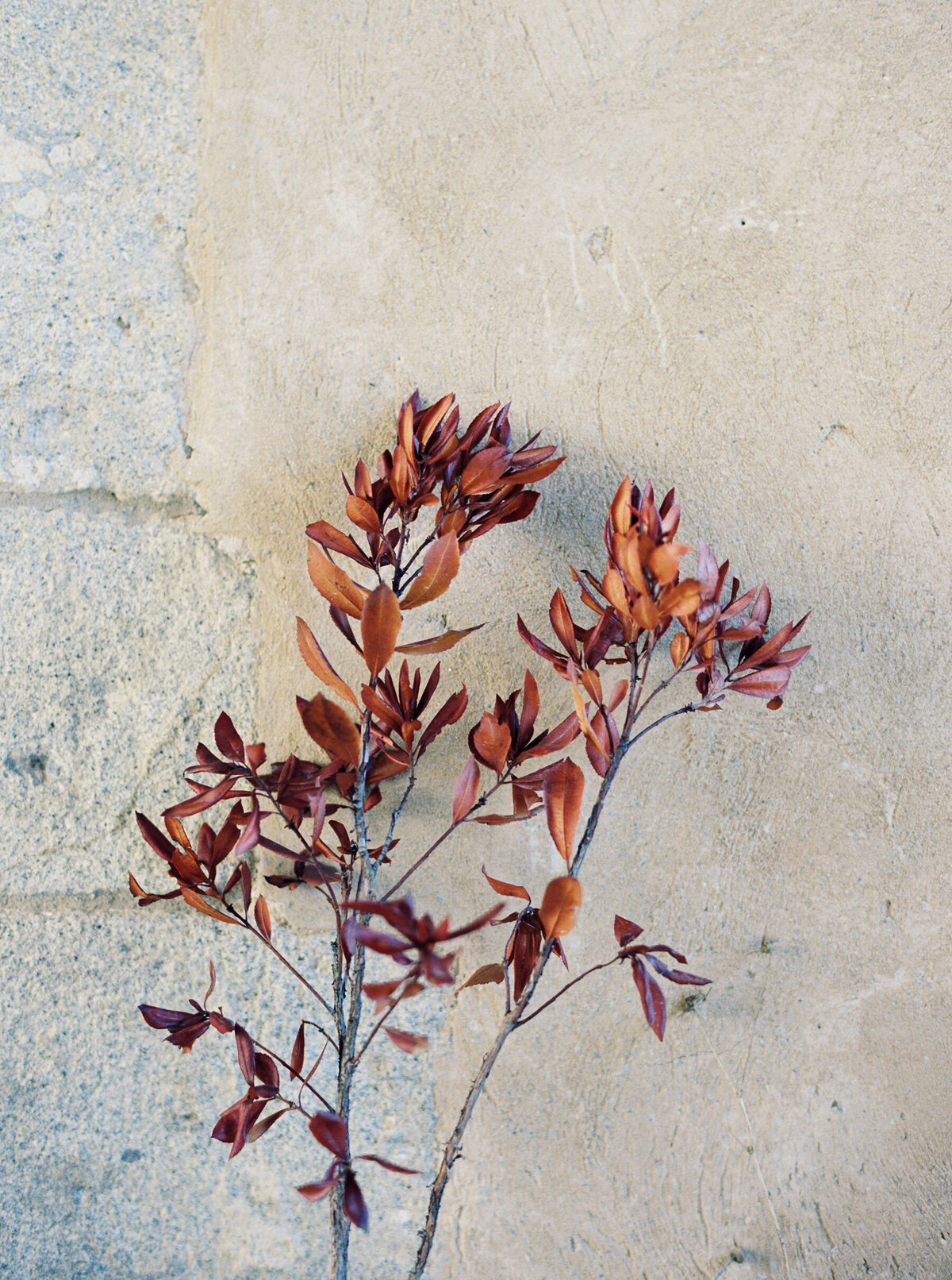 Social_Squares_Rust_Styled_Stock_Image034