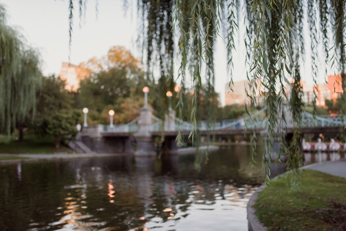 boston city engagement session of traditional asian couple. strolling the historical streets and boston public garden.