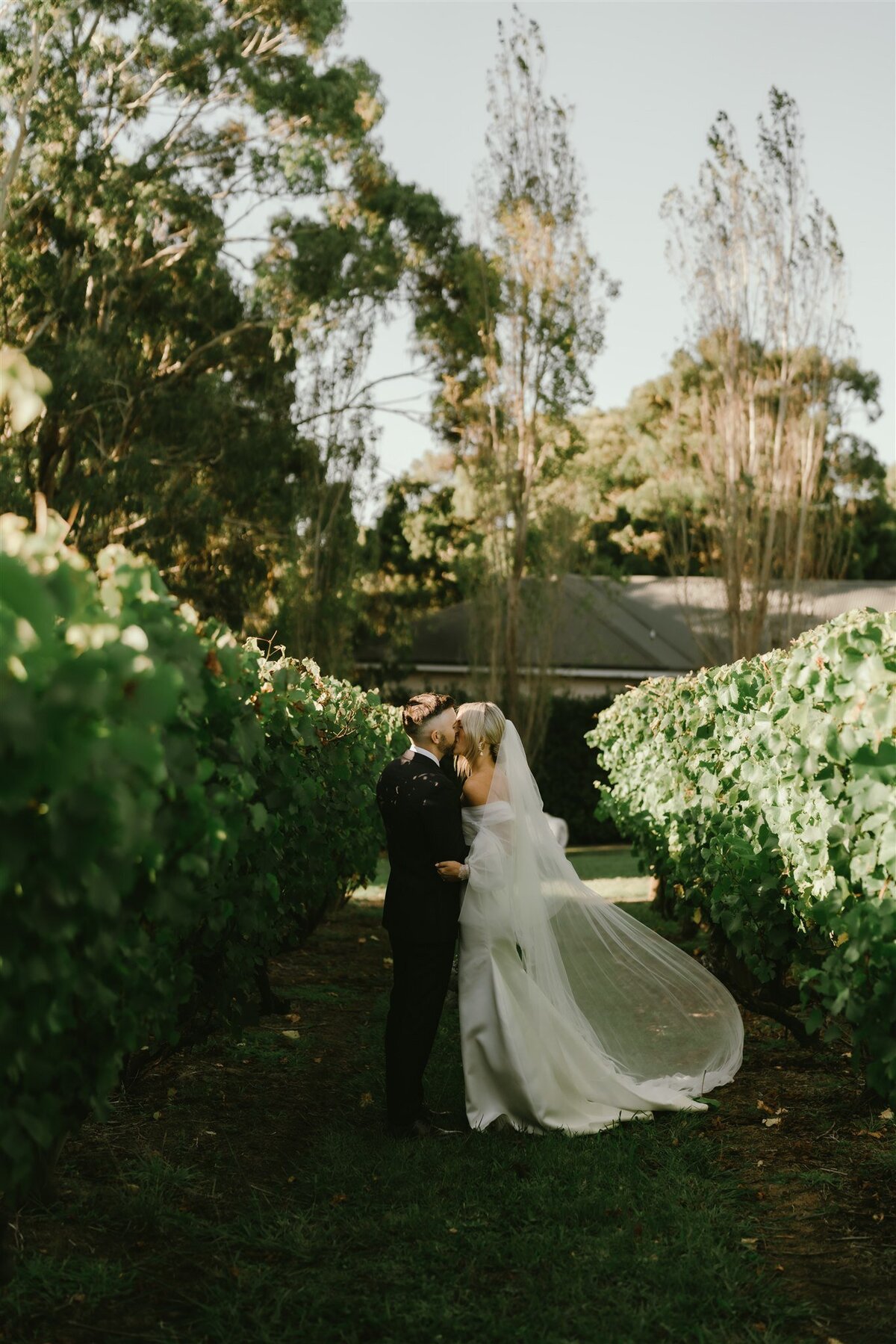 Nicola & Michael - Blossom Daisy Creative-503