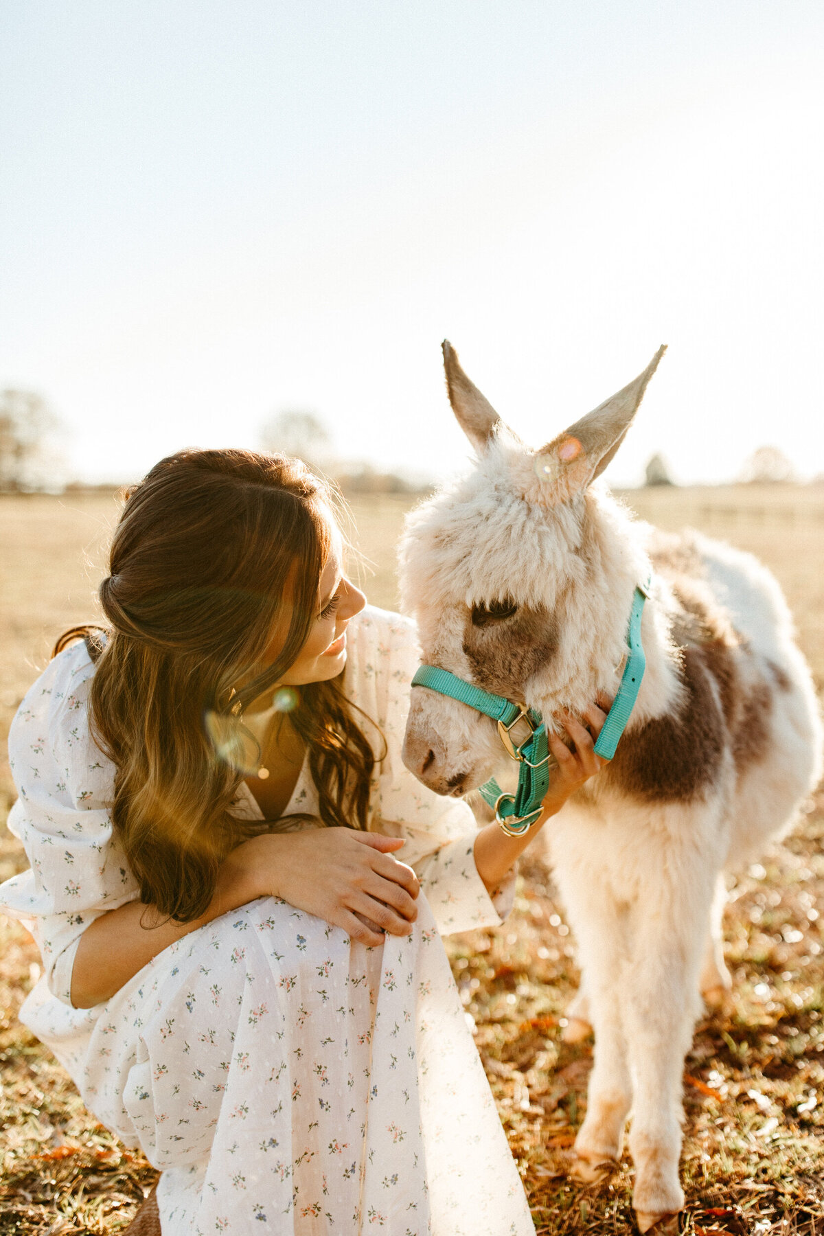 Senior girl on farm with donkey