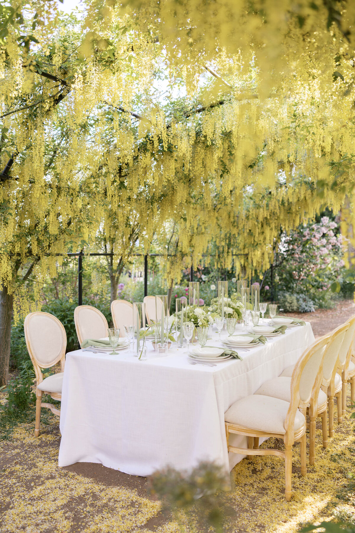roseariumgardenwedding-41