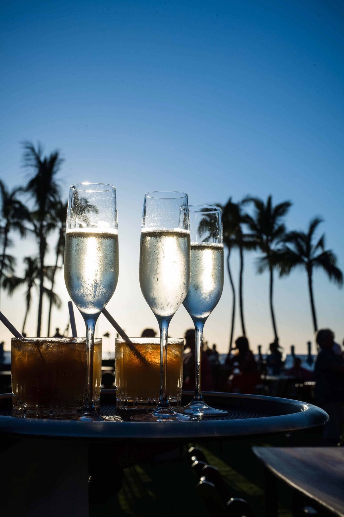 Filled champagne glasses and Manhattans illuminated with sunlight at the Hotel Del Coronado lawn with palm trees behind  the drinks.