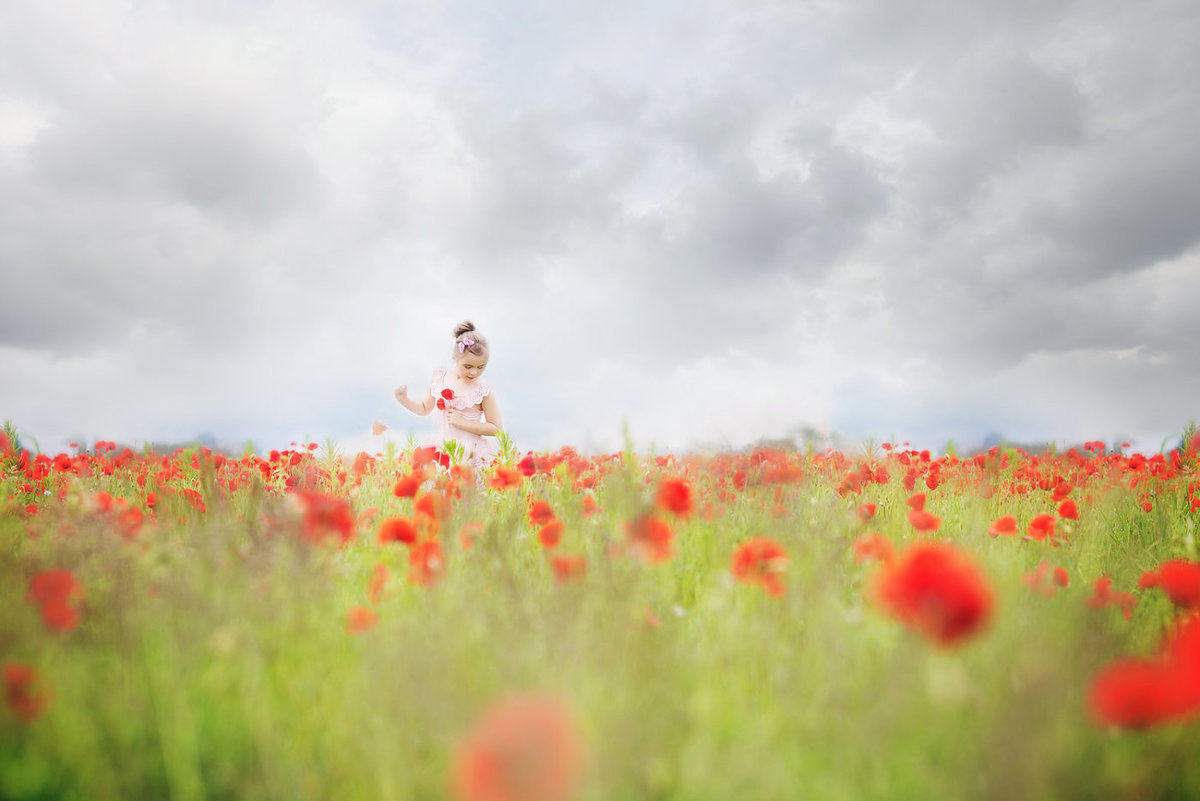little girl in poppy field