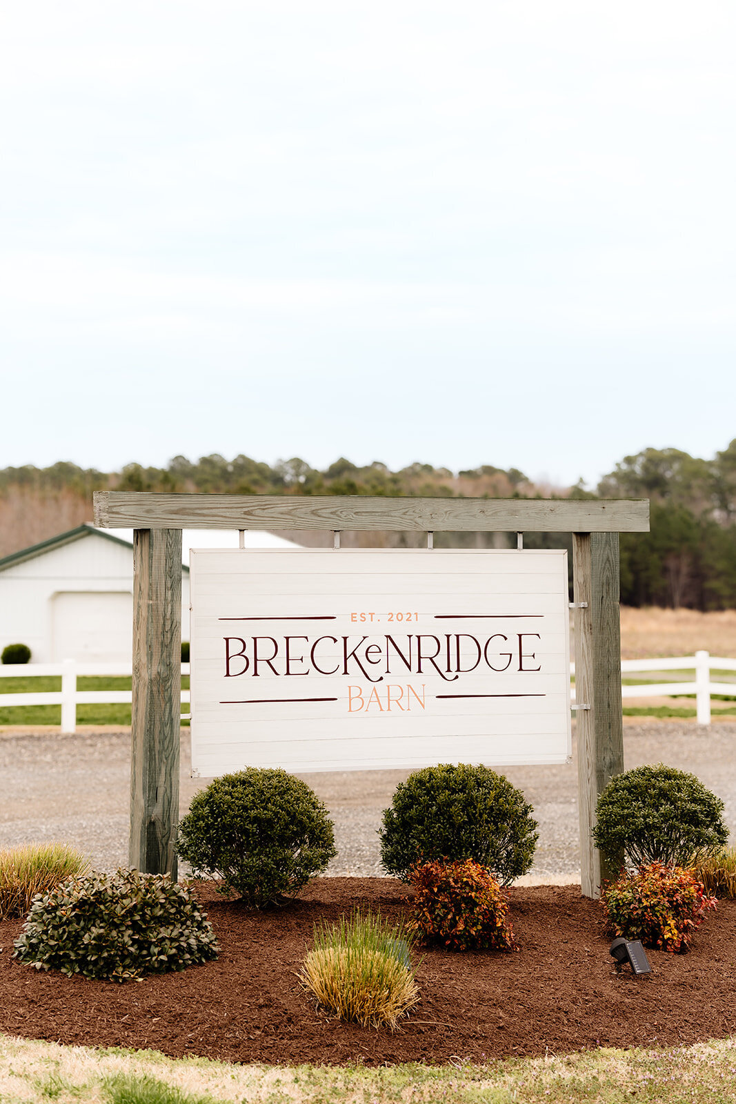 washington dc wedding photographer 1