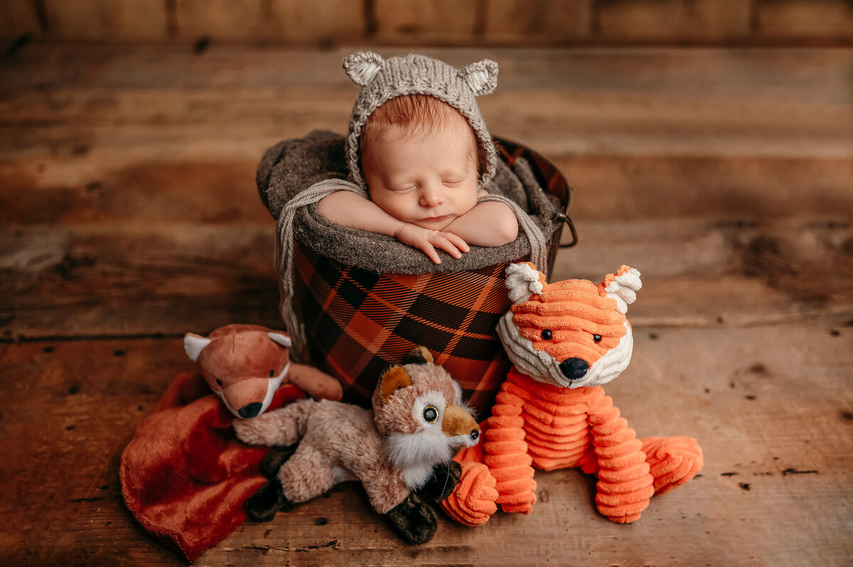 Woodland-themed portrait of baby boy sleeping in a plaid bucket surrounded by fox and wolf stuffed animals.