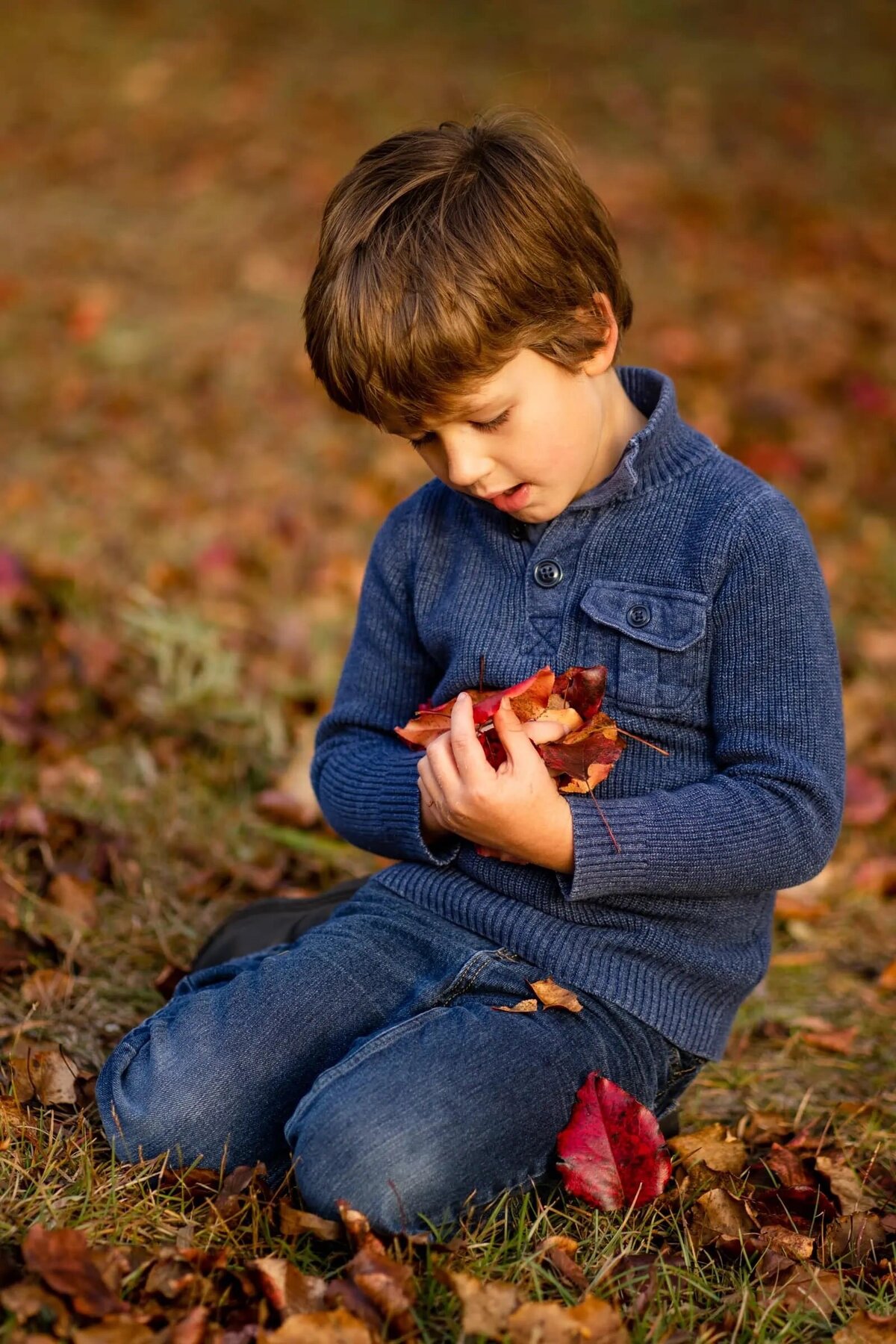 A small boy holding a handful of leaves.