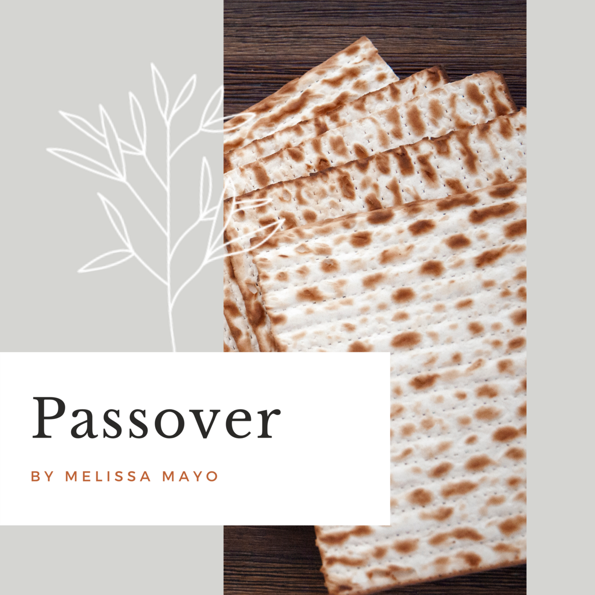 Passover-Cookbook-Melissa-Mayo-pesach