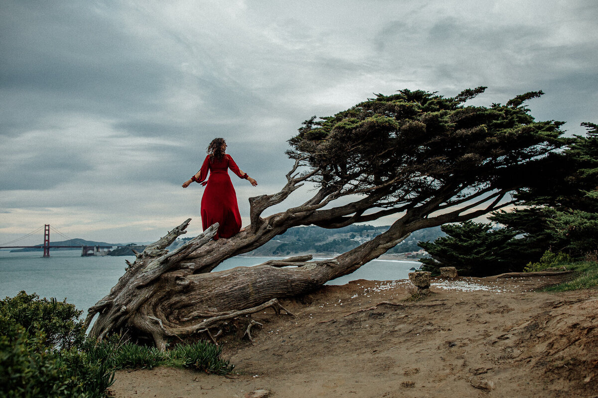 San Francisco storytelling  photo of woman standing in wind swept tree overlooking the golden gate bridge
