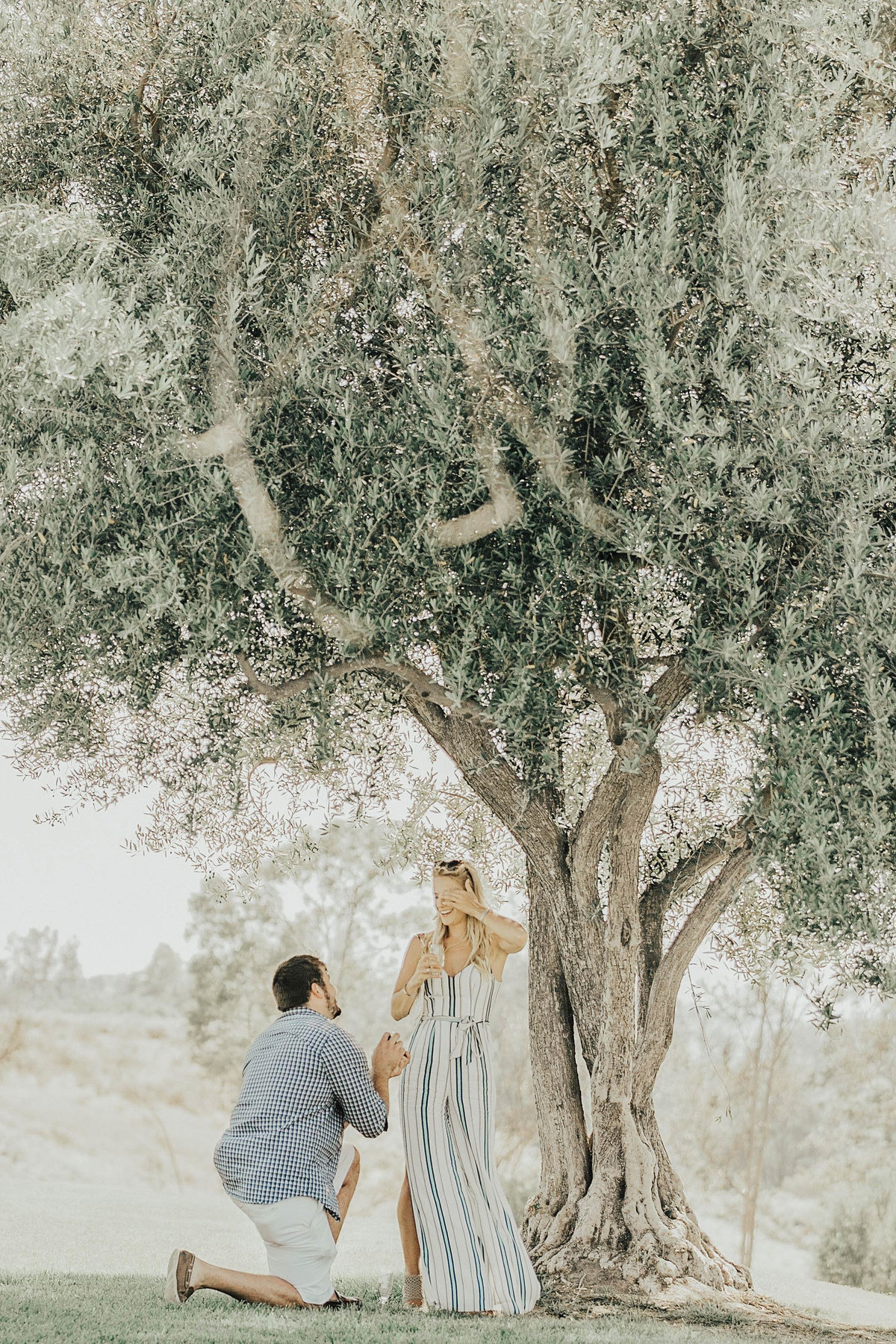 Babsie-Ly-Photography-Fine-Art-Film-Surprise-Proposal-Photographer-Temecula-Thornton-Winery-California-004
