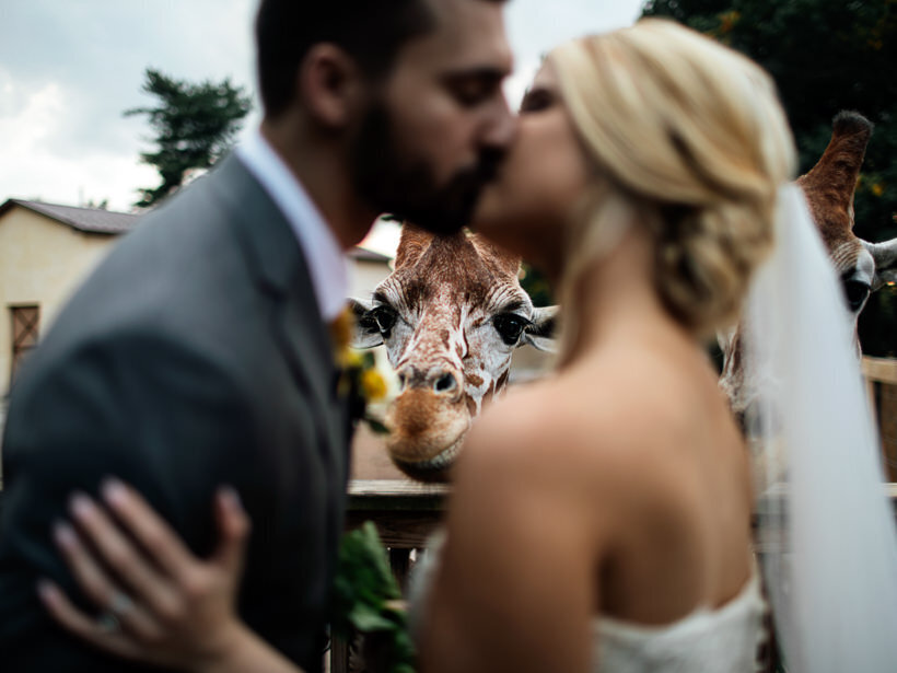 Wedding-Philly-NY-Ithaca-Catskills-Jessica-Manns-Photography_273
