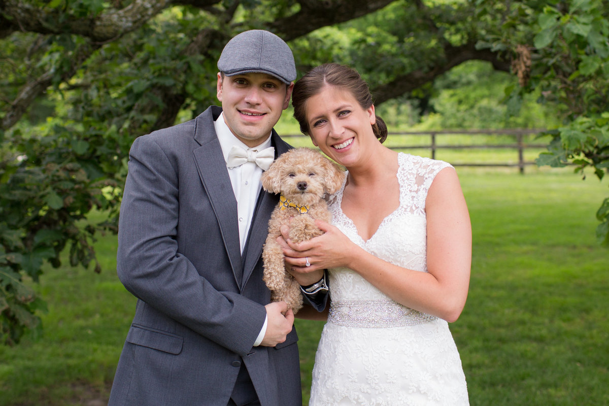 cutest puppy dog on a wedding day