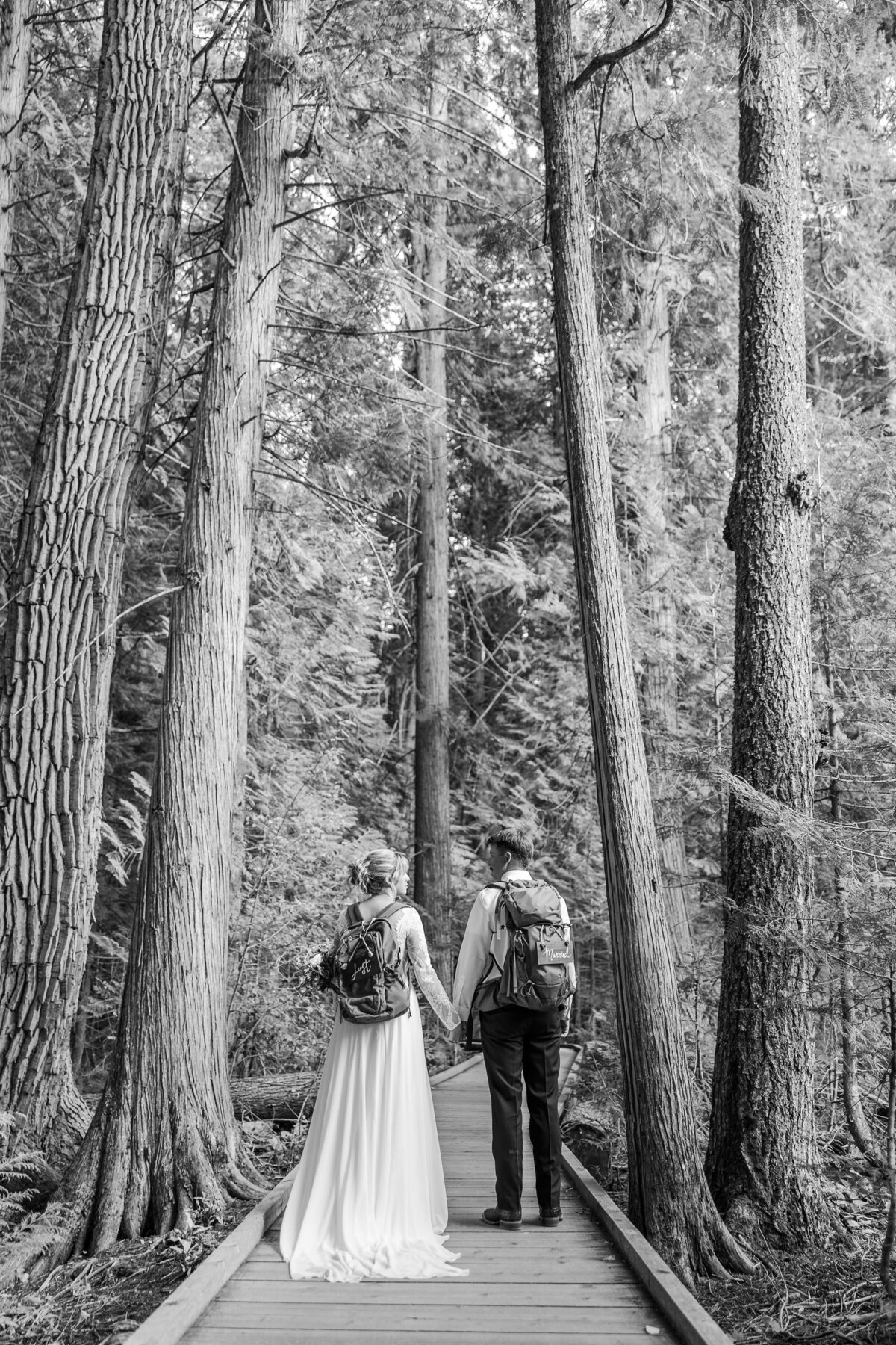 Glacier National Park Summer Wedding D&S (19)