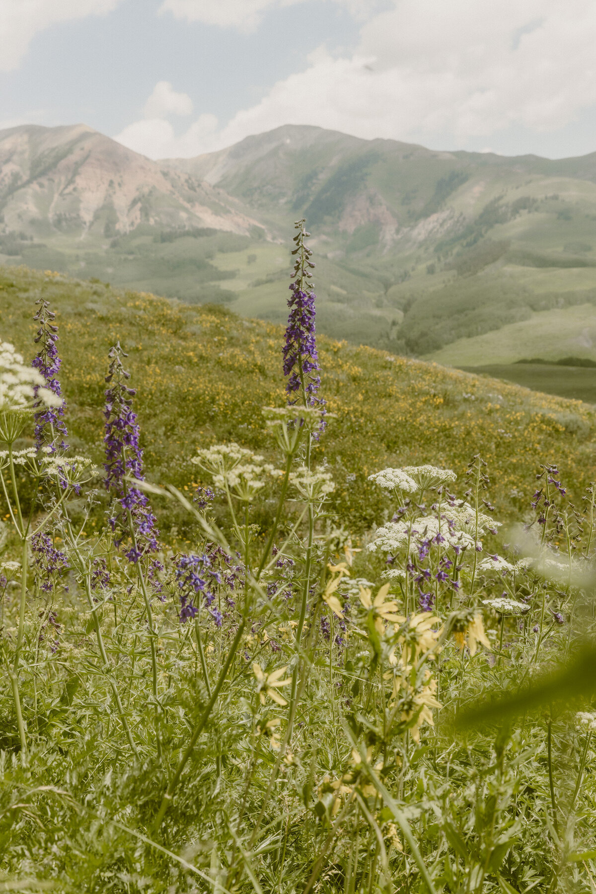 Crested Butte-2