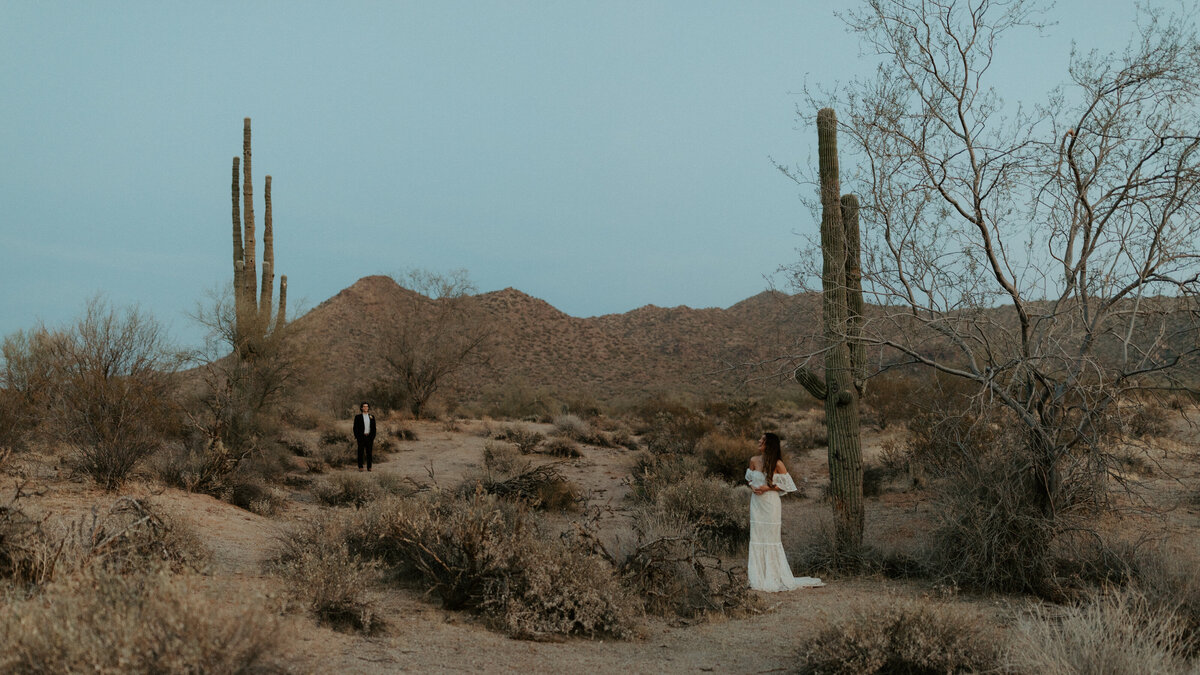 An eloping couple stand underneath cacti in the Phoenix Arizona desert during their elopement.