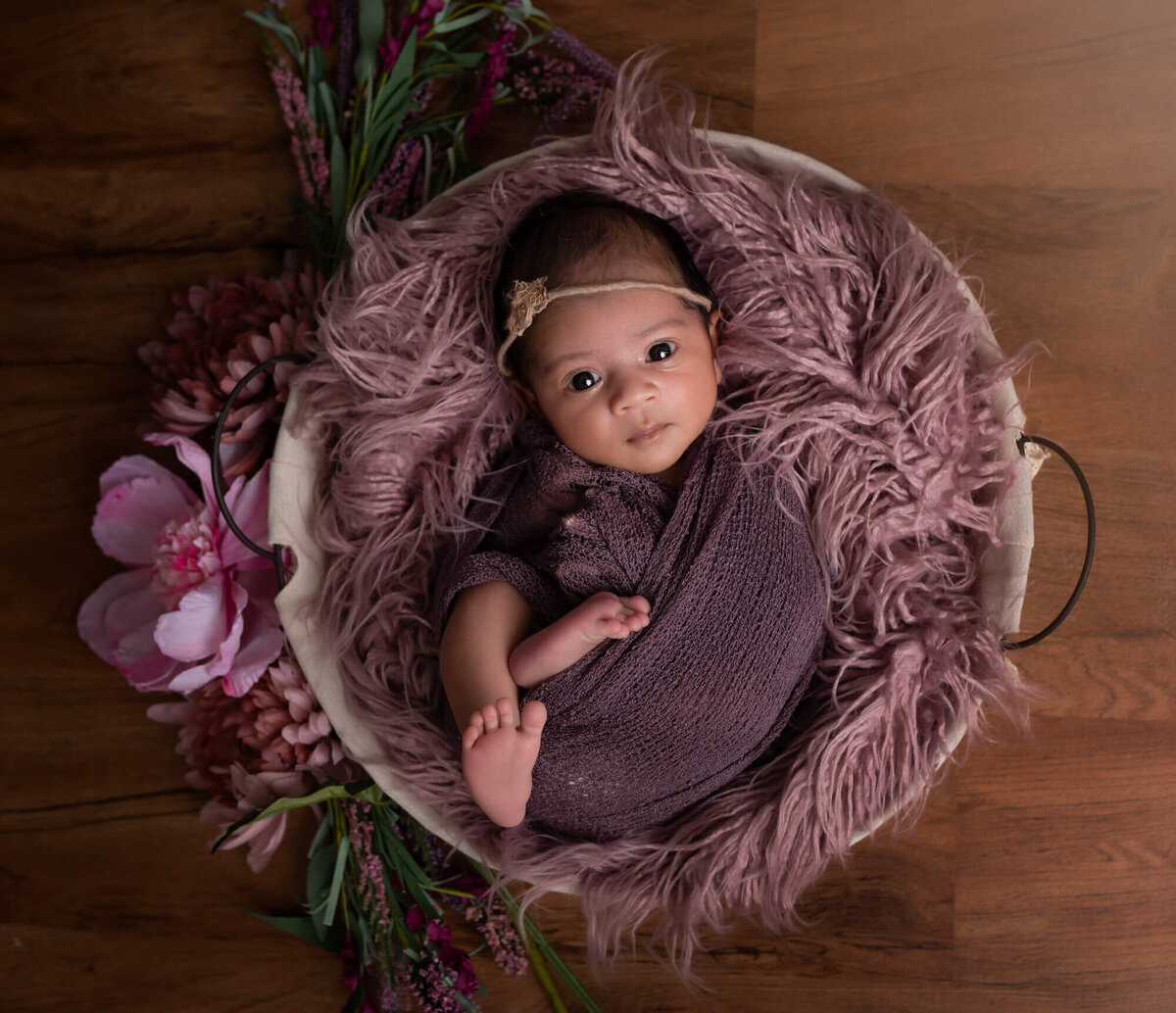 A newborn baby girl wrapped in purple lays in a basket surrounded by purple blankets