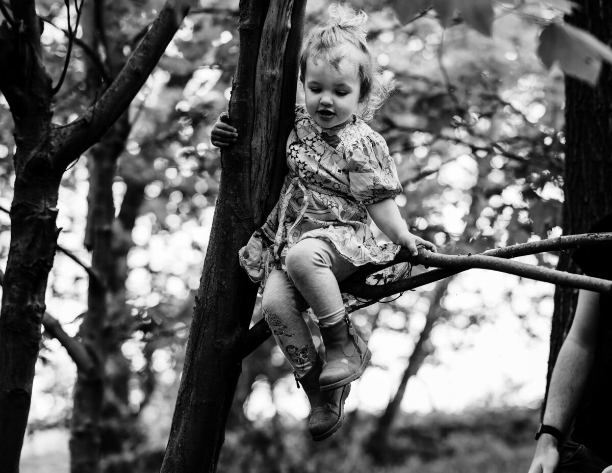 Little girl sitting on a tree during rutland water family photoshoot