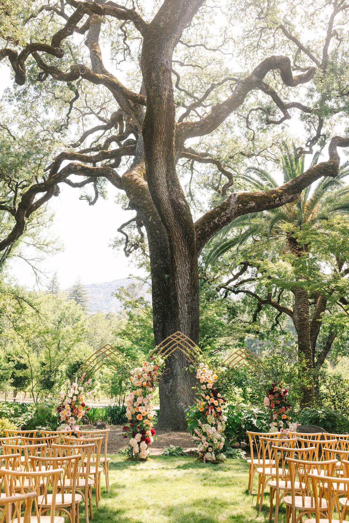 Allison&Paul-NapaWedding-JodeeDebesPhotography-105