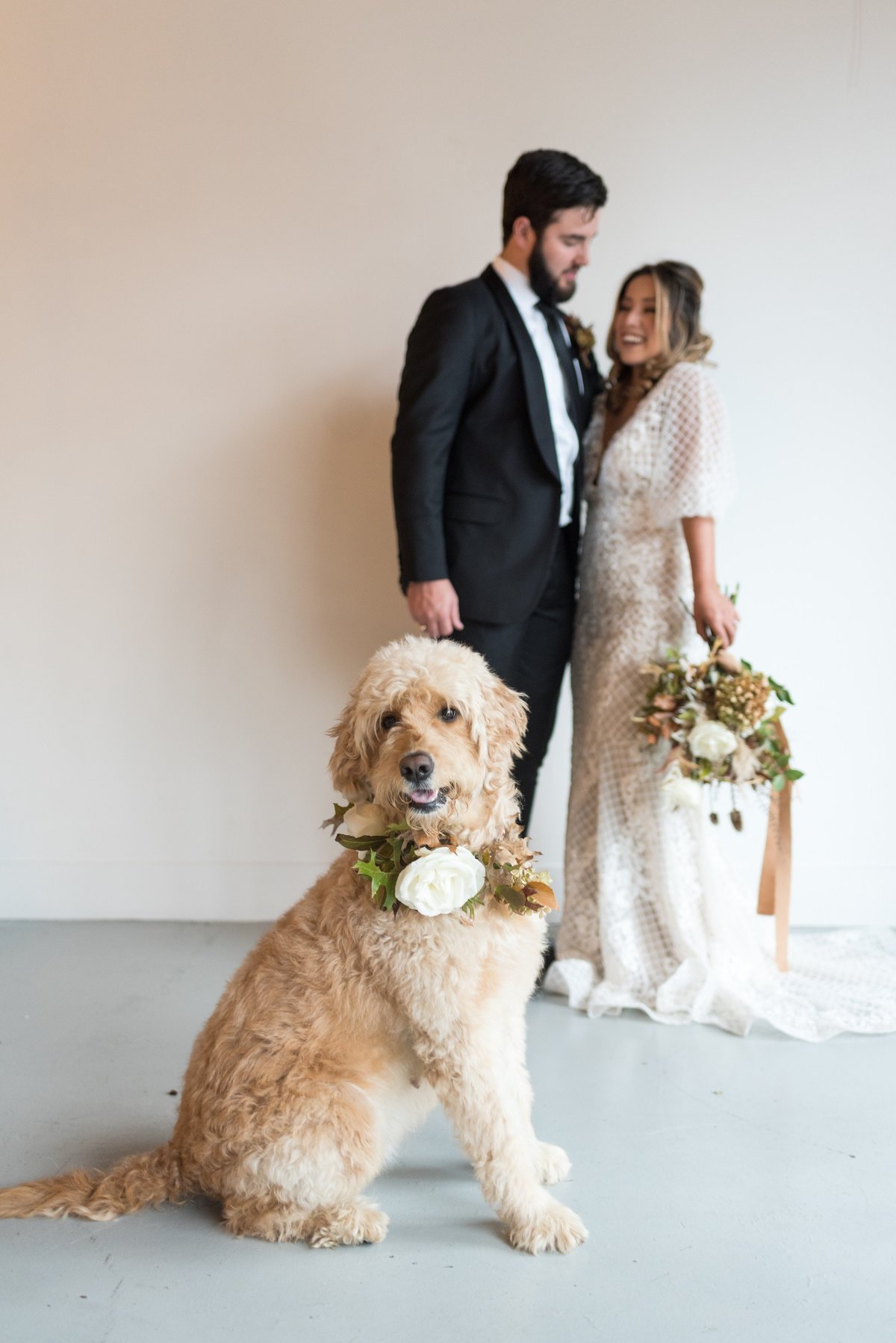 Nashville-Wedding-with-Dog-Portrait-Southern-Wedding-Photographer+1