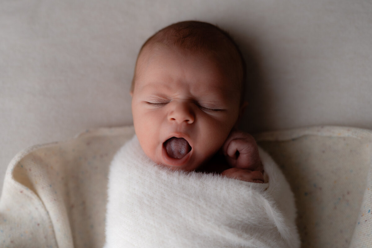 Baby Beau - 1Colour 4
