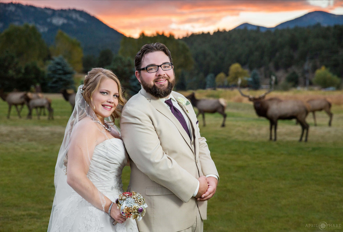 Fall Wedding with Bugling Elk at Sunset Evergreen Lake House in Colorado