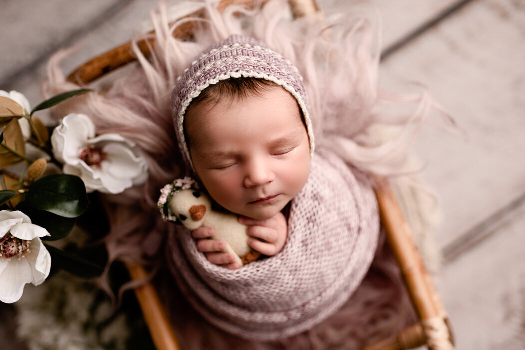 Brighton Newborn Photographer baby holding cow by For The Love Of Photography