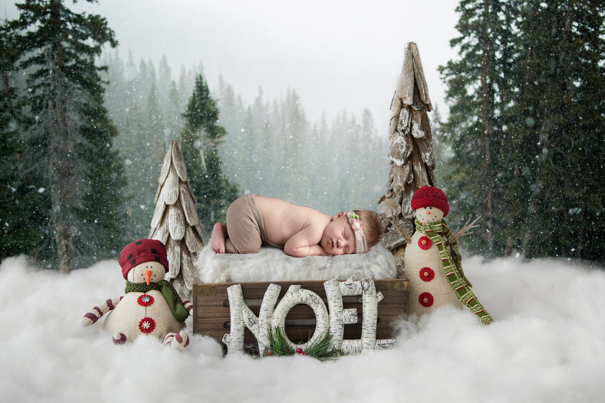 Maternity Newborn - Holly Dawn Photography - Wedding Photography - Family Photography - St. Charles - St. Louis - Missouri-77