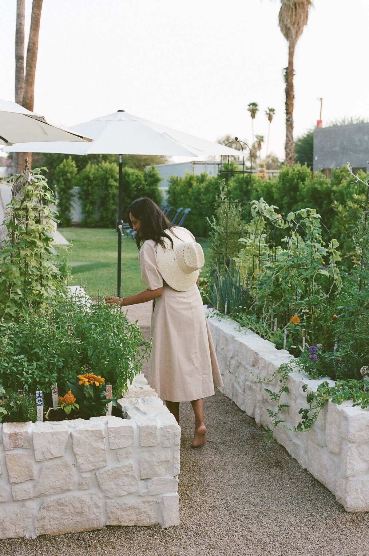Stone-Raised-Garden-Beds-Hacienda