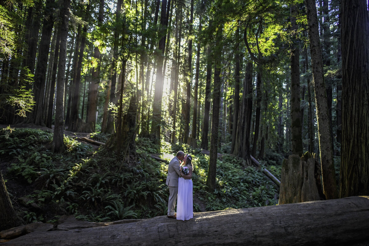 Redway-California-elopement-photographer-Parky's-Pics-Photography-redwoods-elopement-Sequoia-Park-Eureka-California-01