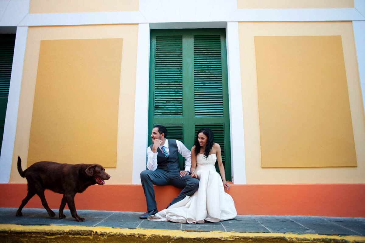 a bride and groom sit on a colorful wall in puerto rico as a chocolate lab walks by