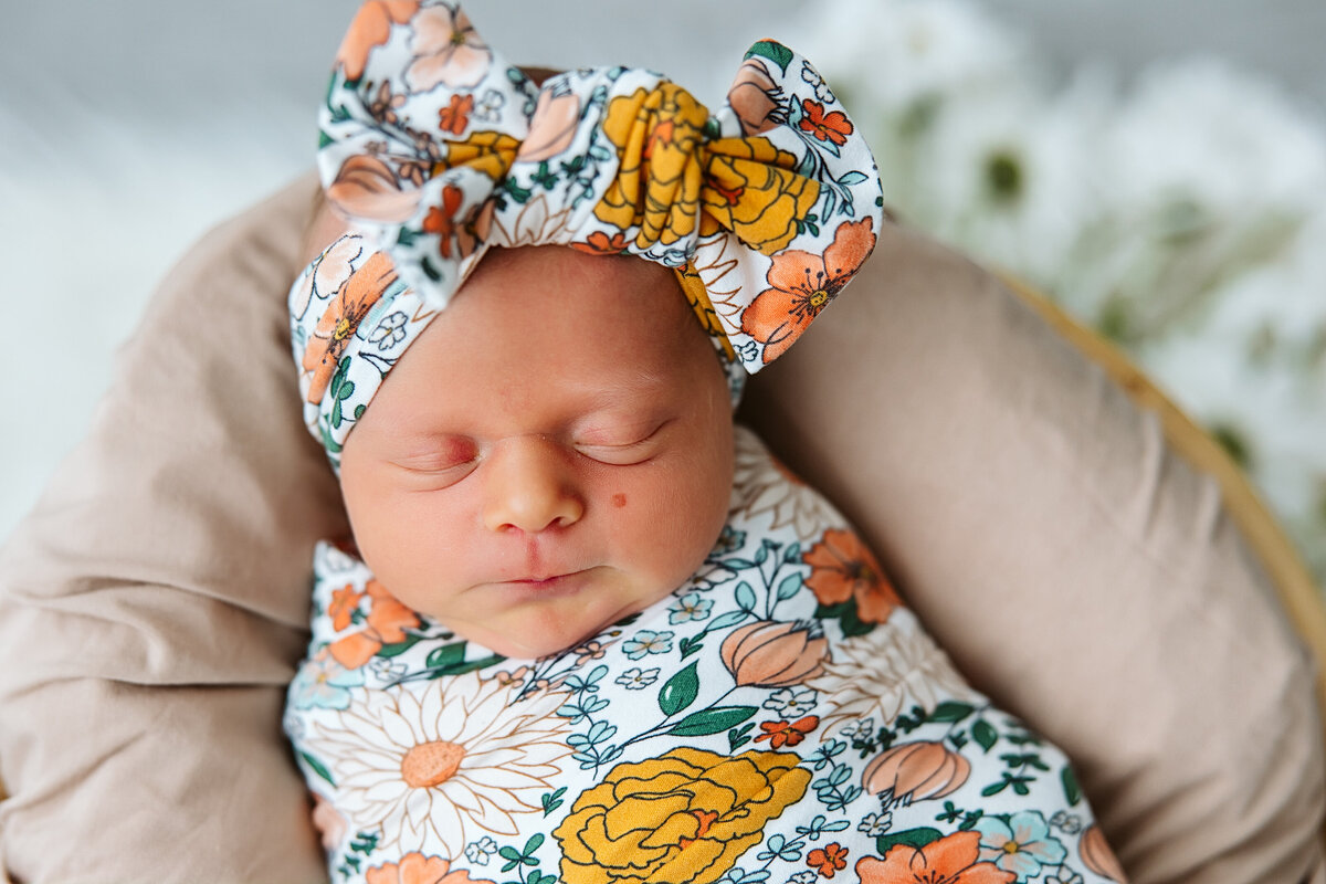 Minnesota-Alyssa Ashley Photography-Christensen newborn session-2