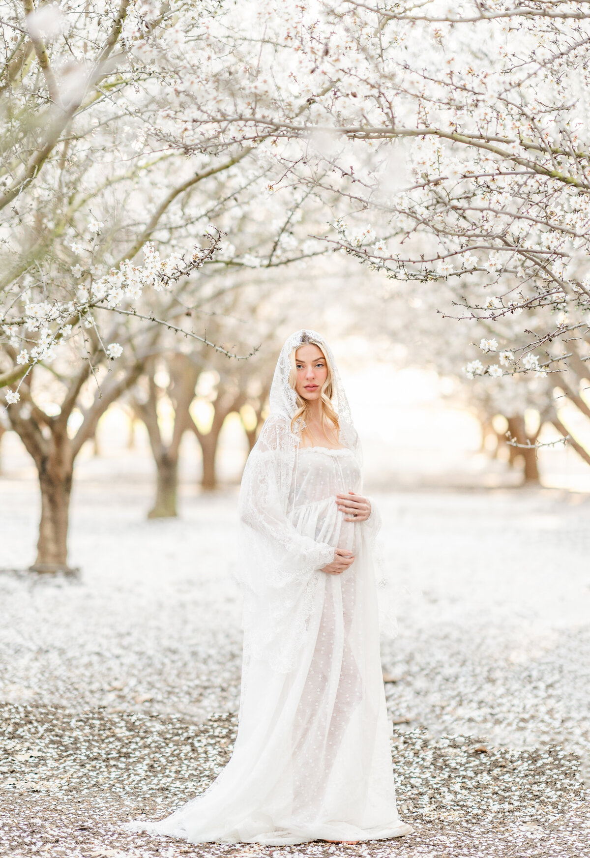 An expecting mother dressed in a white gown and headdress stands in a field of almond blossoms while gently holding her baby bump photographed by Bay area photographer, Light Livin Photography.