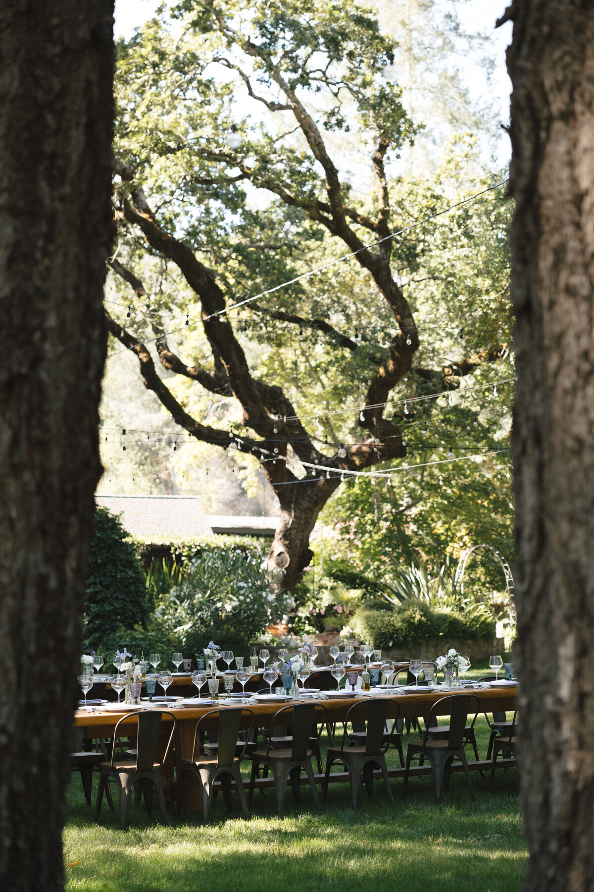 California-Wedding-Photographer
