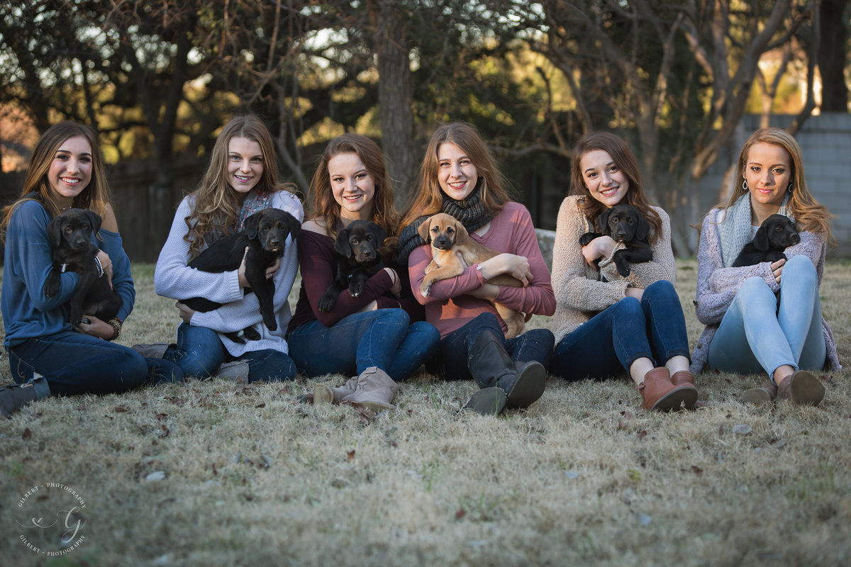 spokesmodels with puppies 1