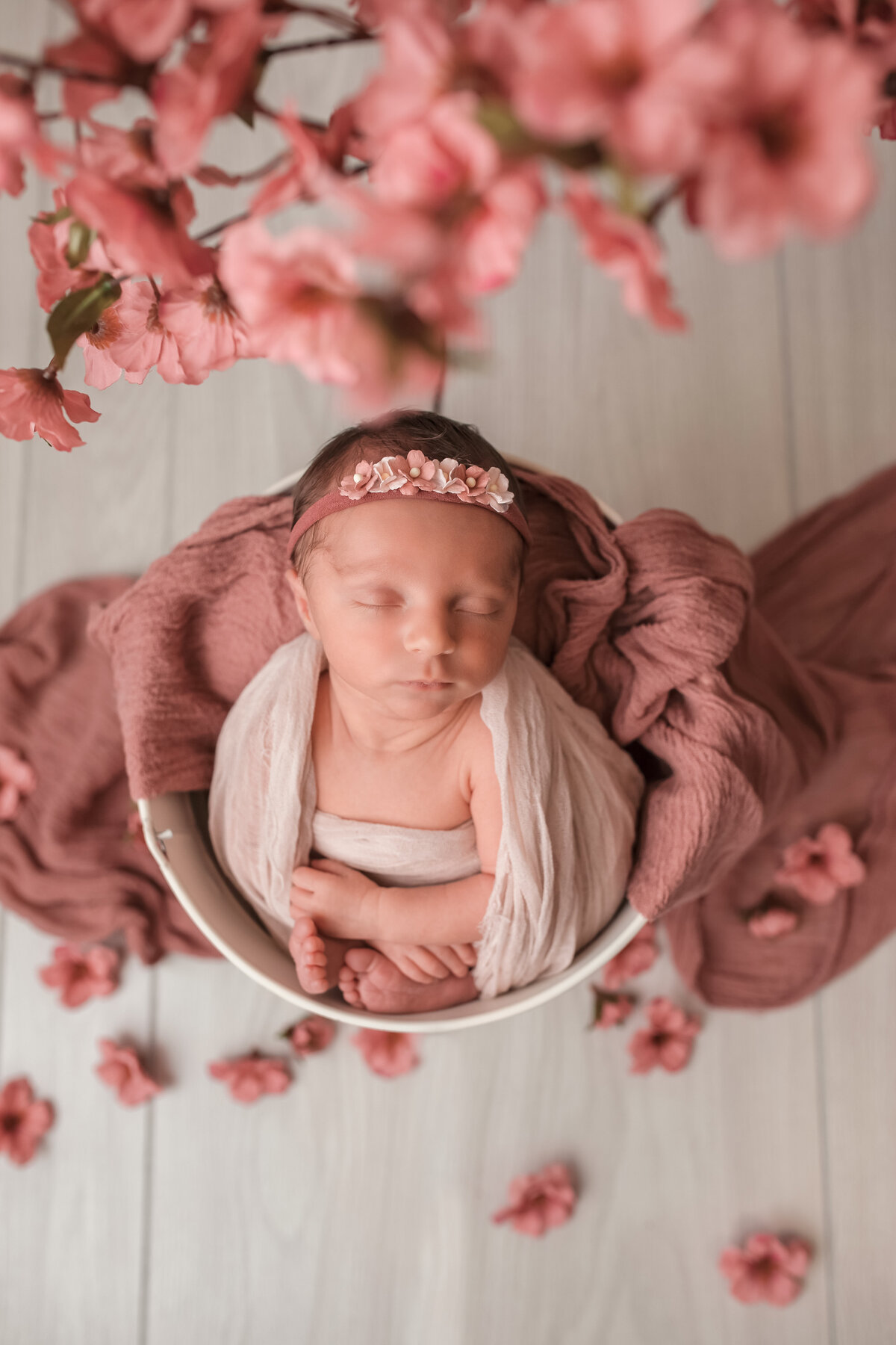 Lillie Mae Photo - Newborn Freya-1491