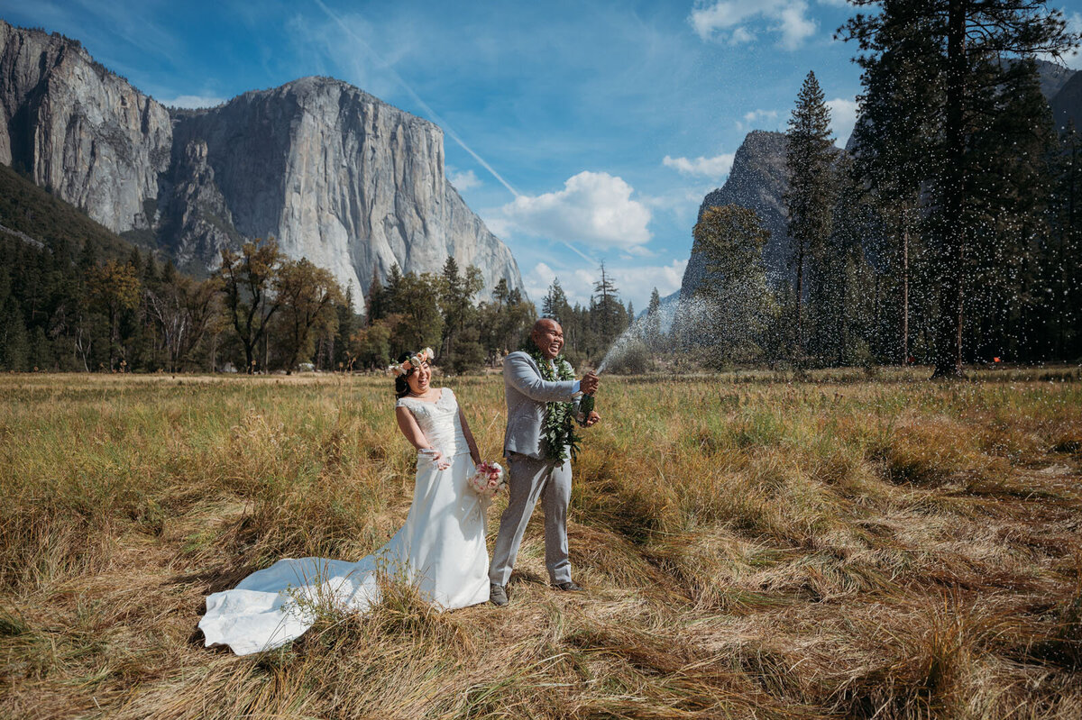 CourtneyandChrisGetMarried!SneakPeek-59meadow with half dome and el cap