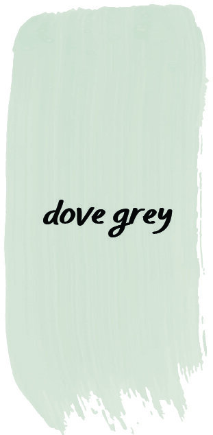 Dove Grey copy