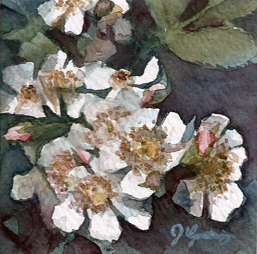 Floral_AppleBlossoms_10x10_WC