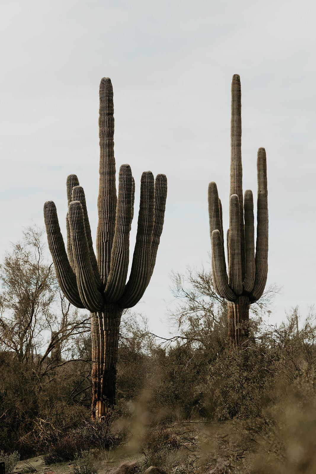 Desert-Engagement-2069