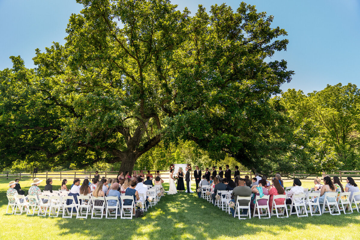 Bride and groom have a ceremony under a tree at Mayowood Stone Barn.