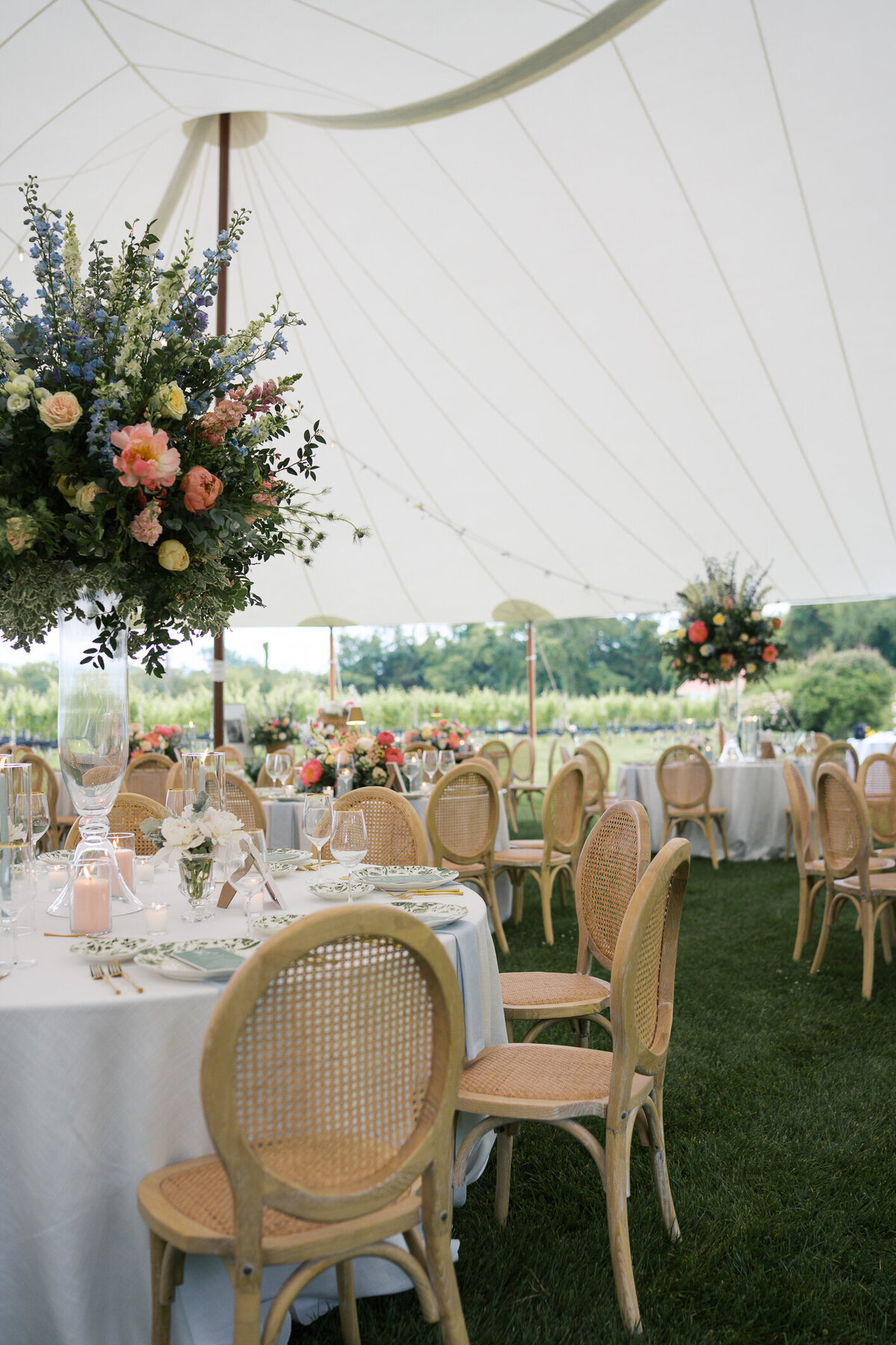 capemayphotographer-50