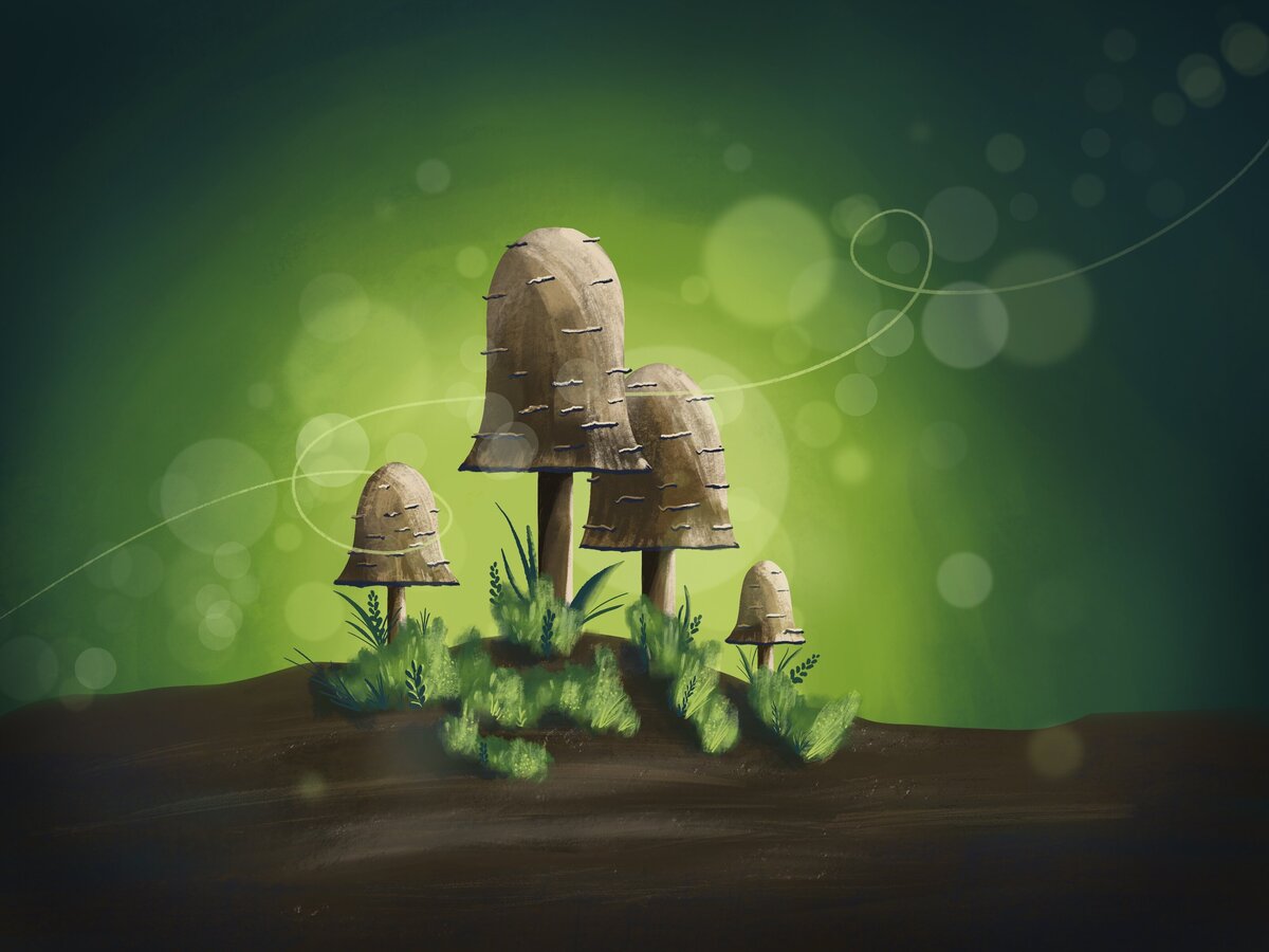 Mushrooms_#1